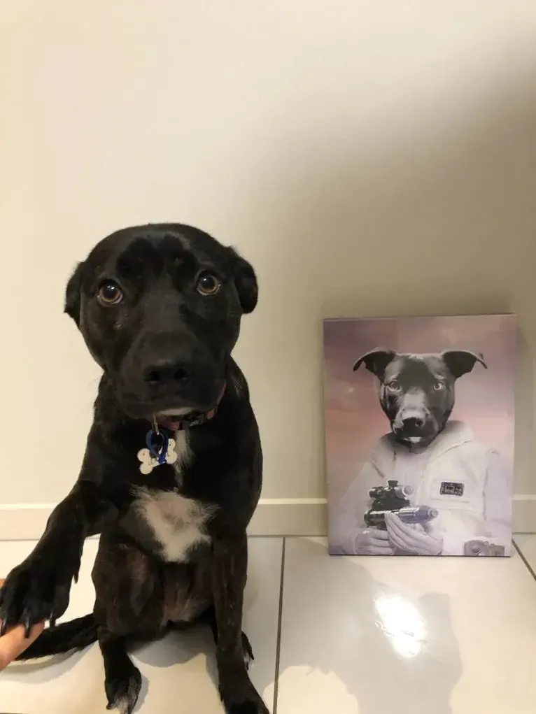 Lady Lick - Renaissance Inspired Custom Pet Portrait Canvas