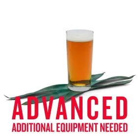 Mexican Agave Lager All Grain Recipe Kit