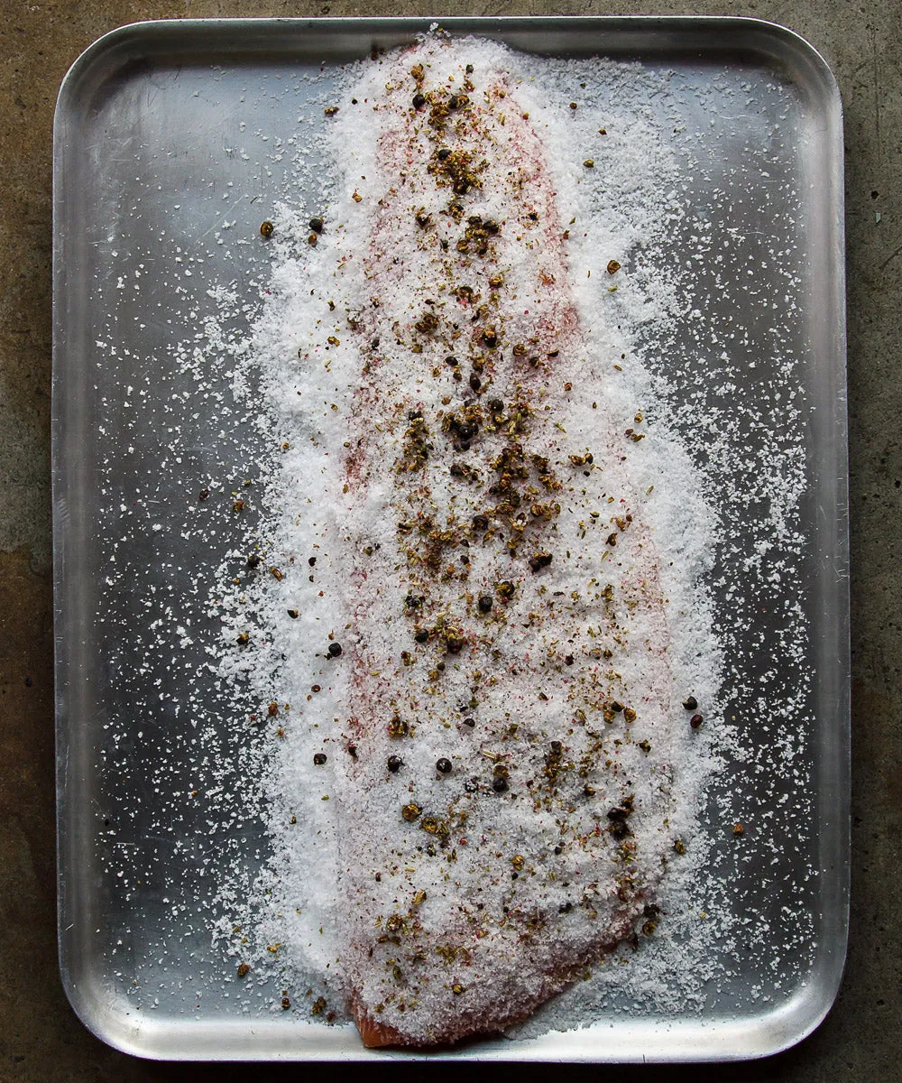 ProQ Salmon Curing & Cold Smoking Kit