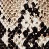 Snake Print Top-Handle Bag